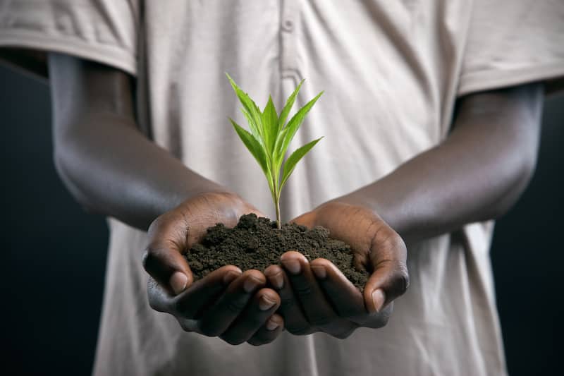 african holding soil with plant growth full size image