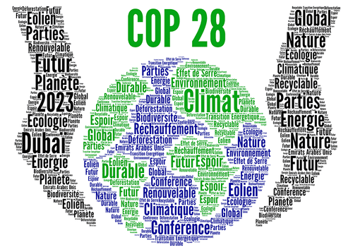 Was CoP-28 a cop-out or did the conference achieve something?