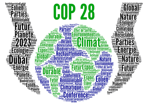 COP 28: Como as marcas podem se preparar para 2025?