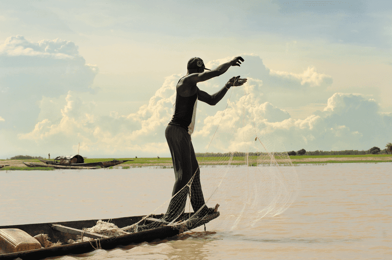 Niger Fisherman 