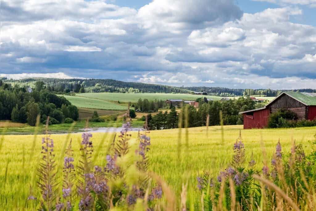 Finland Summer