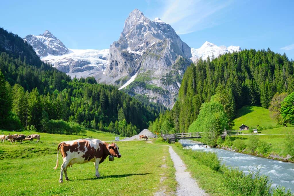 Switzerland