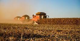 Brazil, Agriculture, Export