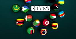 COMESA free trade area. Common Market for Eastern and Southern Africa members flags on spheres. 3D rendering