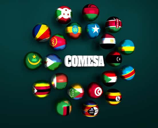 COMESA free trade area. Common Market for Eastern and Southern Africa members flags on spheres. 3D rendering