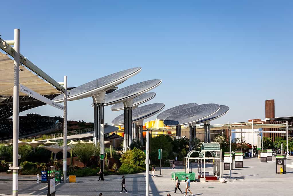 Solar energy and water condensing 'trees' structures at Expo 2020 Dubai, Sustainability District.
