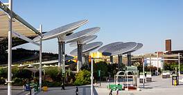 Solar energy and water condensing 'trees' structures at Expo 2020 Dubai, Sustainability District.