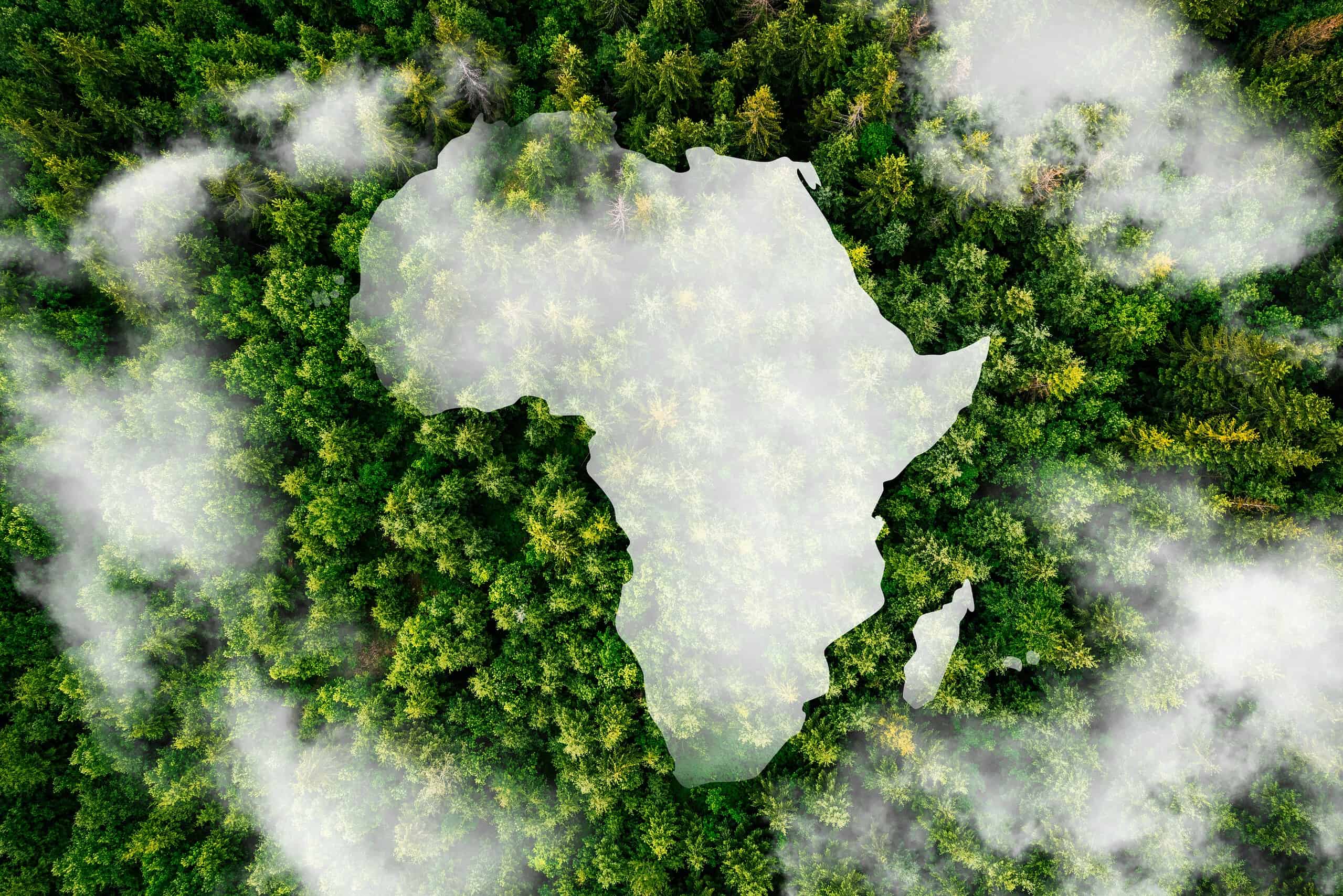 Sustainable Finance Awards 2026: Africa