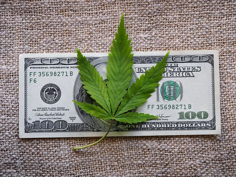 business hemp concept. cannabis cloth and dollars. marijuana leaf
