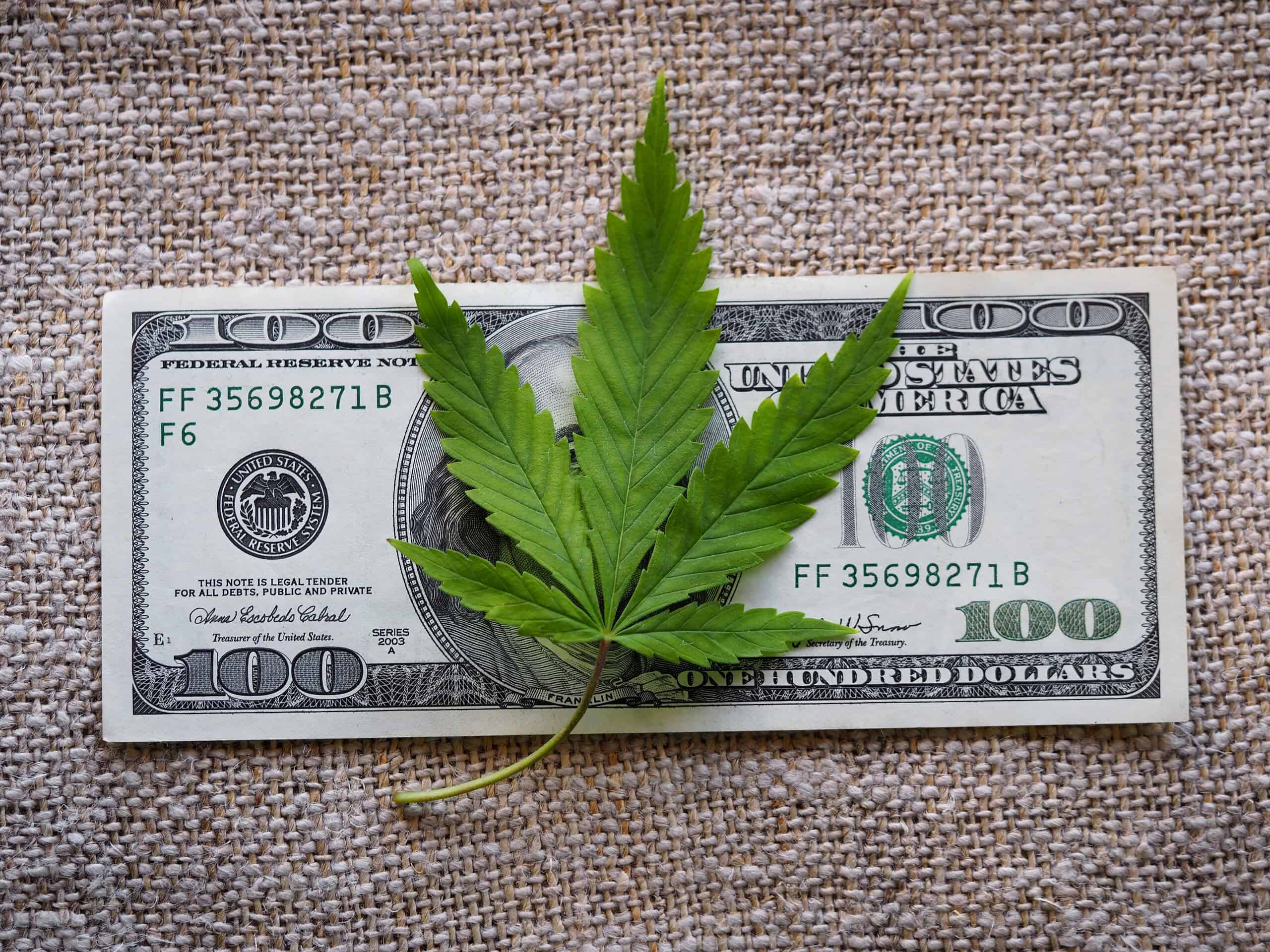 business hemp concept. cannabis cloth and dollars. marijuana leaf