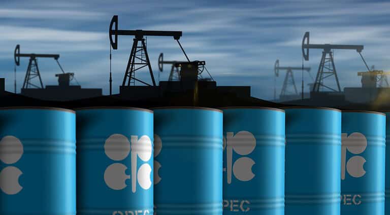 OPEC oil petroleum fuel barrels in row concept. Organization Petroleum Exporting Countries oil producing export association industrial containers 3d illustration.