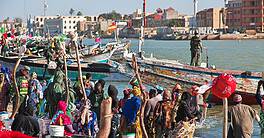 The local market in the port of Saint-Louis, Senegal, West Africa