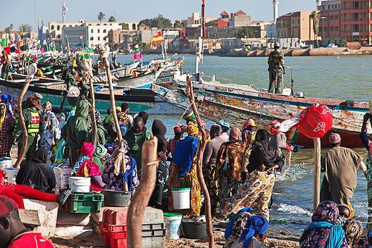 The local market in the port of Saint-Louis, Senegal, West Africa