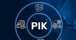 PIK Payment in Kind concept.A type of financing arrangement where interest or dividends are paid in the form of additional securities or assets, instead of cash